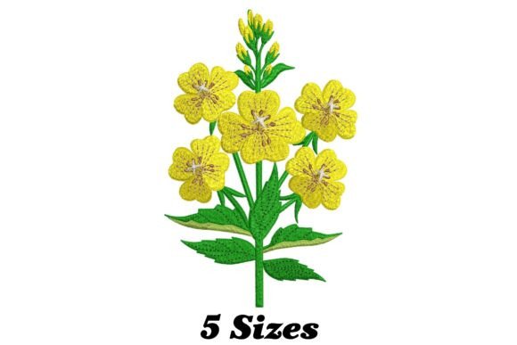 Primrose Flower: A Charming Addition to Your Collection